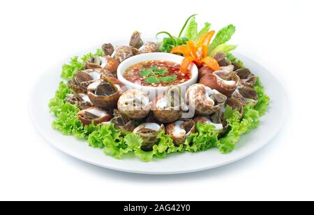 Vaporizzato Spotted Babilonia sbiancando (Mare Fresco Babylonia Areolata Shell) bollito) servita con frutti di mare piccante salsa cibo Thai Style goodtasty decorare wit Foto Stock