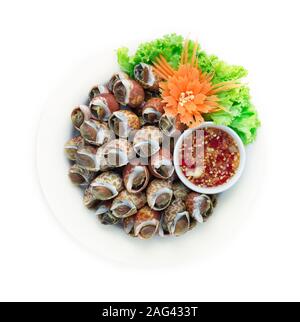 Vaporizzato Spotted Babilonia sbiancando (Mare Fresco Babylonia Areolata Shell) bollito) servita con frutti di mare piccante salsa cibo Thai Style goodtasty decorare wit Foto Stock