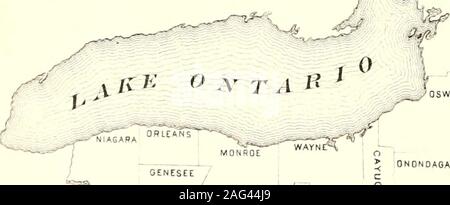 . Censimento della popolazione dello stato di New York per il 1875. ST LAWRENCE FRANKLIN CLINTON tijO     1 m I RESA MEDIA PER ACRO.^^ ^ ?Jefferson. 113.34 mi ils-sl*-/ 1 contee. &Gt;??illM ,. ESSEX fcjf Chemung. M. HO Omarlo,Cavuga,Essex,Delaware,Queens,Yates,Oneida,B,ooinp.Wyoming,Livingston,Schiiyec, % media 16 115.92 17 :1I5.41 ?8 113.81 19 .13,34 20 1112.89 1(2.19 108.86 Foto Stock
