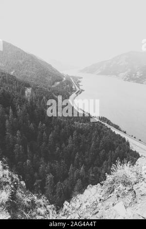 Immagine verticale ad angolo alto in scala di grigi delle montagne boschive sul riva di un fiume Foto Stock