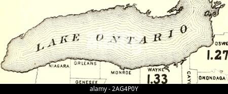. Censimento della popolazione dello stato di New York per il 1875. ST LAWRENCE FRANKLIN 1 CLINTON Essex. ??? 1 lewis a 1-2* 1 1 Foto Stock