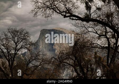 Famoso half dome a yosemite shot utilizzando gli alberi al telaio. Foto Stock