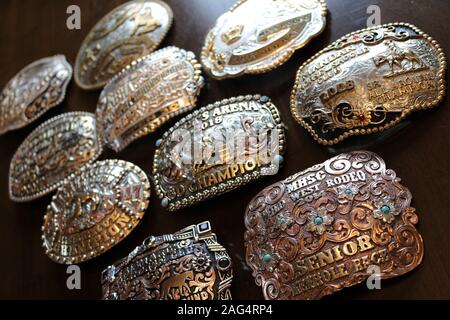 Raccolta di Trofeo Western fibbie della cintura di sicurezza posteriore Foto Stock