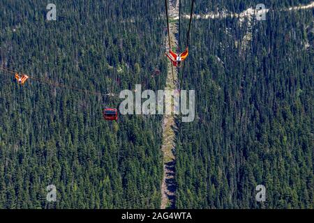 Foto ad alto angolo di una linea di cabinovia che attraversa La foresta sulla funivia Peak Foto Stock