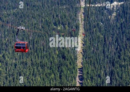 Foto ad alto angolo di una linea di cabinovia che attraversa La foresta sulla funivia Peak Foto Stock