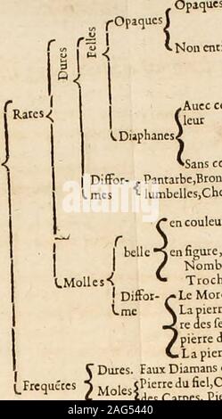 . Le parfaict ioaillier, ou Histoire des pierreries : où sont amplement descrites leur naissance, iuste prix moyen de les cognoistre, & se garder des contre-faites, facultez medecinales, & proprietez curieuses. pierres,,les vncs font :"tierement-{LaTiirquou&LT;:, Camahu. CSardonor, Adroite. rement S * Leucofaprur.Opale. Hiac.nl.Bcnl.lRubis, PralTc, Rubi--(eelle.Chryloprafe, Spinelle.Granat,), Amaodine Chryfol.te, Balais, Efcar-Jboucle,Saphir,Efmcraude,PierrePrc-Vieufc du Soteil.almandino.-•Sans couleur. Le Diamant., Pantarbe,BromIa,Vmbr,a,Drafo"ria,*ri.e,P.=rrc des Pa-t lumbellcs.Chclidoqi Foto Stock