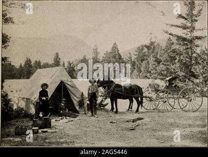 . Haynes' guida al parco di Yellowstone. ome parte del Parco. Camping le parti findthe regione nelle vicinanze della Yanceys un eccellente placeduring agosto e settembre. Alberghi del parco. Sono in numero di sei: Mammut a Mammoth HotSprings, ^^Norris a Norris Geyser Basin, inferiore Fountainat Geyser Basin, Old Faithful Inn in alto a Gey-ser, bacino del lago alla uscita Lago Yellowstone, andCanyon al Grand Canyon. Essi sono sotto onemanagement, Y. P. A. (Parco di Yellowstone Associa tion), che costruire e far funzionare gli hotel nel parco.Le concessioni sono concessi loro dalla onorevole Secre tary-Int Foto Stock