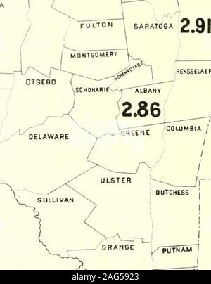 . Censimento della popolazione dello stato di New York per il 1875. Ho TIOGA ?%^ Mappa No.I. J/i^ /iffiire.v in carJi fonfi/i/ s/wif ir/iaf pe?- centofits /jopuftitrorr nf f^e crn^vu.s o/ /S/S, !fa.vhor/i se; faiioffa.-.3/apJo. /Confriins fhe /SCounties- o/tlie IA&LT;/^fsf rmiJ,- jfi rr.spfrt a tAjs/)i/-feri/rr^f, So.^f/ie /Sriesxf in ra7iA-,i{-c.. Contee. 1 Per Ct. Clinton, 1 16.53 franklin, 2 13,83 St Lawrence, 3 10,24 Essex, 4 6.72 Jefferson, 5 6.62 Oswego, 6 4.76 Niagara 7 4,75 Monroe, 8 J.58 Hamilton, 9 3.22 Lewis, 10 3,15 Warren, U 2,95 Washington, 12 2,91 Albany, 13 2,86 Erie, 14 2,79 Orleans, 15 2.27 !N-A^- Foto Stock