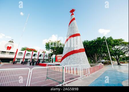 Albero di natale abete rosso al di fuori in un clima caldo in Cancun, Messico Foto Stock