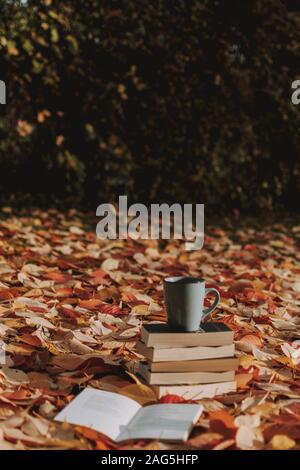Ripresa verticale di alcuni libri e una tazza di caffè sul terreno coperto con foglie d'autunno Foto Stock