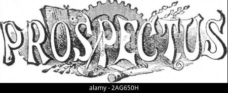 . Scientific American Volume 33 Numero 01 (luglio 1875). Ione, sotto gli auspici dell'Istituto di meccanica di San Francisco. Produttori, meccanica, e gli altri sono consigliati chela sopra mostra sarà aperto a San Franciscoon il Hth giorno del mese di agosto del prossimo e continuare ad aprire almeno un mese. Il consiglio di amministrazione invita tutti coloro che hanno desiderio di exhibitto inviare nelle loro applicazioni per lo spazio, senza ritardo, ALMR. J. H. CuLVEK, segretario, 27 Post San, San Fkan-cisco, Cal. , Che provvederà prontamente a rispondere a tutte le domande. 700.000 persone provenienti da tutte le parti del Pacifico, visitedthe ultima mostra, per vedere il wha Foto Stock