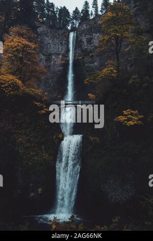 Splendido scenario di una cascata con un ponte ad arco il primo piano circondato da molti alberi Foto Stock
