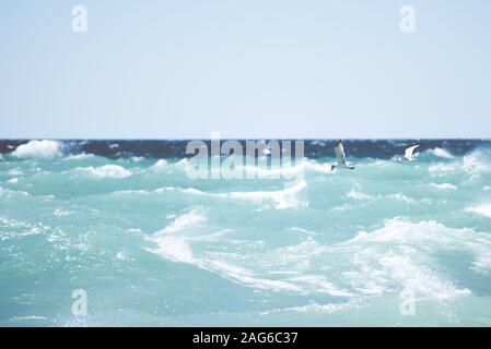 Bellissimo scatto di gabbiani che volano su un mare con grande onde e sfondo sfocato Foto Stock