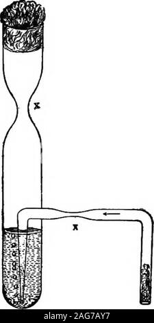 . I principi di batteriologia: un manuale pratico per gli studenti e i medici. accumulo di gas in bracci chiusi di thetubes. Terzo, per quanto riguarda la capacità di ciascuna soluzione forreducing rame in soluzione Fehlings. Cosa differiscono-meeting sono osservati, e come essi possono essere spiegate? Coltivazione senza ossigeno.-Come abbiamo imparato havealready, vi è un gruppo di batteri di cuiè anaerobico di designazione è stato dato, whichare caratterizzato da incapacità di crescere in presenzadi ossigeno libero. Per la coltivazione dei membri di questo gruppo, un numero di dispositivi sono impiegati per theexclusion di ossigeno libero Foto Stock