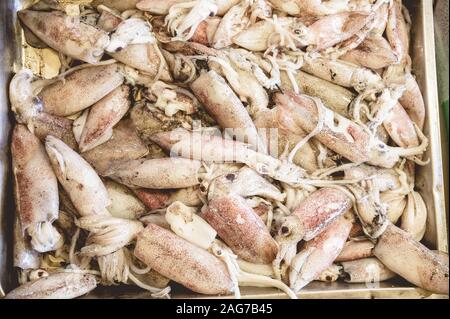 Colpo d'testa di calamari uno sopra l'altro in una scatola di legno Foto Stock