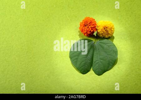 Festival indiano Dussehra, mostrando il Golden Leaf e fiori su sfondo verde. Biglietto di auguri. Foto Stock