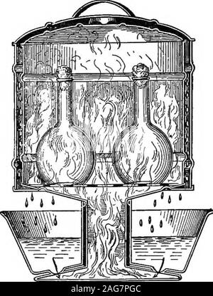 . I principi di batteriologia: un manuale pratico per gli studenti e i medici. e attraverso l azione di bozze. Il apparatusis di semplice costruzione e il solo punto che isto di essere osservati mentre si utilizza è il livello della waterin il serbatoio. Sul serbatoio è un'acqua-gaugewhich indica in ogni momento la quantità di acqua nel theapparatus. La quantità di acqua non deve mai essere troppo smallto indicato dal manometro; altrimenti è pericolodi il serbatoio diventa secca e il fondo della ap-paratus distrutta dall'azione diretta della fiamma. Uno sterilizzatore che è venuto a Foto Stock