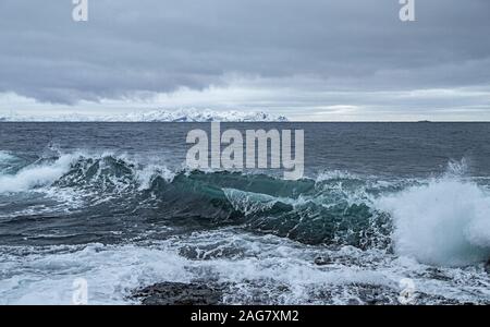Splendido scenario di onde che si tuffano sulla riva sotto il cielo limpido di Lofoten, Norvegia Foto Stock