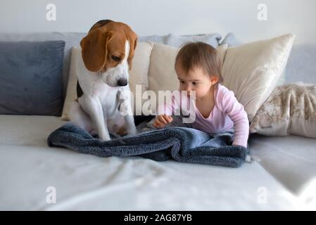 Cane con un simpatico baby girl su un divano. Beagle seduto accanto al grazioso Baby girl su una coperta in soggiorno Foto Stock