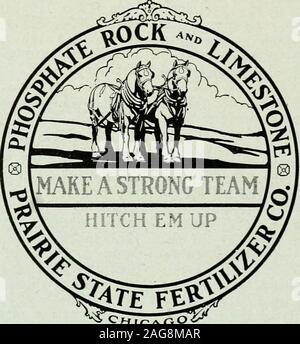 . Prairie agricoltore e la directory di Fulton County, Illinois. h è ben dissanguate e in buon ordine.A parte il cattivo aspetto di in-spurgato completamente i polli, loro mantenere-ing proprietà sono molto inferiori. Theflesh perde la sua fermezza prima; itsflavor non è così buona. Una percentuale molto elevata delle Nazioni unite-bella pollame nei nostri mercati asidefrom sfregamento e lacerazione della theskins, è causata da una incompleta ri-smaltimento di sangue. Questo è evidencedby puntini rossi che frequentemente occurwhere le piume sono stato nuovamente spostato, specialmente sopra le cosce andwings, o dalle piccole vene, whichmar la comparsa di th Foto Stock