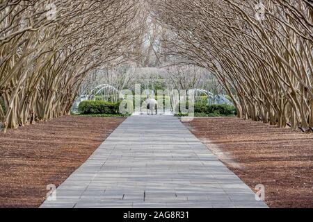 Bellissimo scatto dell'arco naturale nel Dallas Arboretum E giardini naturali Foto Stock