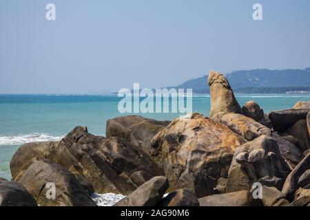 Hin Ta rocce a Ko Samui, Thailandia vicino al mare bello Foto Stock