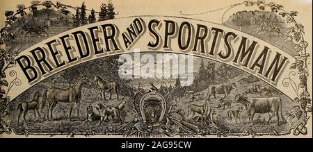 . Allevatore e sportivo. SMITH QUNS sono realizzati forAll tipi di munizioni... apl&n t0 BRACCI Hunter Co., Fulton, N.Y. PHIL. B. BEKEART CO., San Francisco, Rappresentante della costa. TOt. TTTTT N° 19 3" Geary Street. SAN FRANCISCO, Sabato, 7 novembre 1903. SUBSCRIPTIONTHREE di dollari in un anno Foto Stock