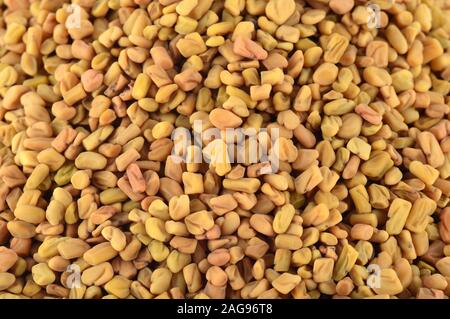 Fenugreek semi come sfondo. Chiudere la texture Foto Stock
