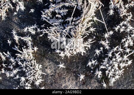 Trava pokrytaya ineyem v solnechnyy yasnyy den' pozdney osen'yu ili ranney zimoy. Makrofotografiya s vidnymi kristallami l'da. Sezonnyye izmeneniya v Foto Stock