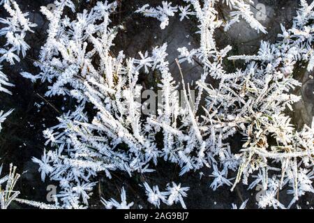 Trava pokrytaya ineyem v solnechnyy yasnyy den' pozdney osen'yu ili ranney zimoy. Makrofotografiya s vidnymi kristallami l'da. Sezonnyye izmeneniya v Foto Stock