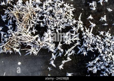 Trava pokrytaya ineyem v solnechnyy yasnyy den' pozdney osen'yu ili ranney zimoy. Makrofotografiya s vidnymi kristallami l'da. Sezonnyye izmeneniya v Foto Stock