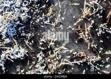 Trava pokrytaya ineyem v solnechnyy yasnyy den' pozdney osen'yu ili ranney zimoy. Makrofotografiya s vidnymi kristallami l'da. Sezonnyye izmeneniya v Foto Stock