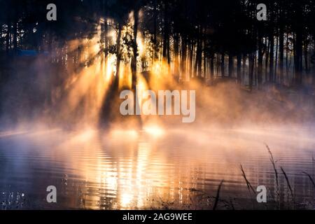 Sun rise a Pang-ung, pineta in Thailandia Foto Stock