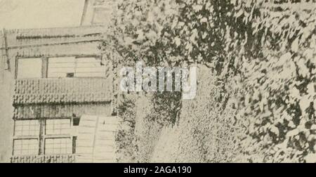 . La dedizione papers : documenti scientifici presentati per la dedicazione del laboratorio di costruzione e impianto di case, 19-21 Aprile, 1917. Shear: Perdita di fragola. Foto Stock