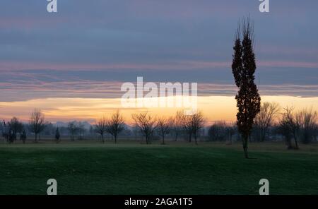 Tramonto sul campo da golf Foto Stock
