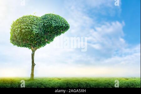 Realistiche le immagini di fegato umano sono albero verde forme circa le malattie e la cirrosi (ambiente). Foto Stock