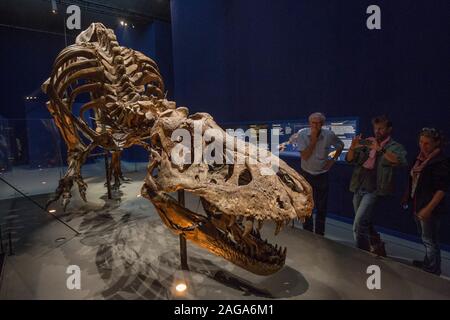 Un T-Rex di Parigi Foto Stock