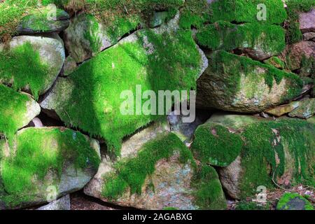 Muro di pietra con copertura verde muschio Foto Stock