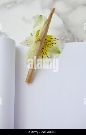 Primo piano verticale di una marijuana smussata e di un fiore su un foglio di carta Foto Stock