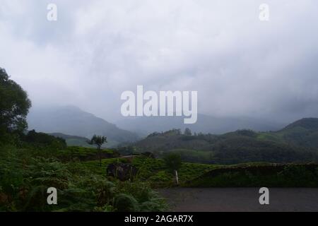 Viste di Eravikulam National Park in Munnar Foto Stock