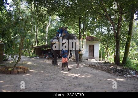 Corsa su elefante del Periyar Thekkady Foto Stock