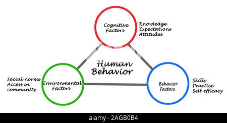 I fattori determinanti del comportamento umano Foto Stock