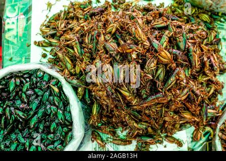 Insetti/bug per la vendita al mercato centrale di Phnom Penh Cambogia. Foto Stock