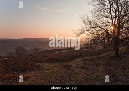 Un tramonto mozzafiato sulle colline nel Parco Nazionale De Hoge Veluwe nei Paesi Bassi Foto Stock