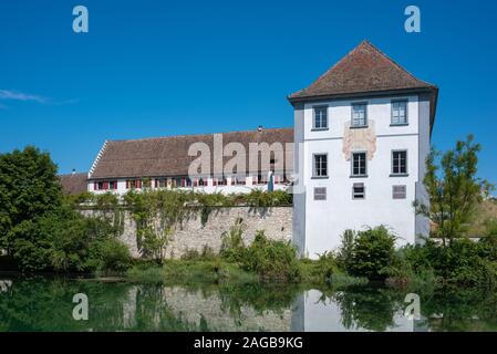 Panorama sul Reno con ex monastero del Monastero di Rheinau, Canton Zurigo, Svizzera, Europa Foto Stock