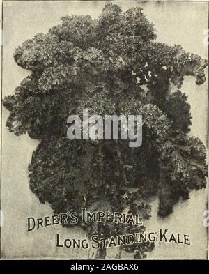 . Dreer's 1913 giardino prenota. Più presto Erfurt Kohl=Rabi. Un bianco, gara con varietà diKohl-Rabi. con una radice liscio e molto breve alto; il bestvariety per coltura esterna. Pkt., 10 cts.; oz.30 cts.; lb.,85 cts. Inizio bianco o verde Vienna il cavolo rapa. Carne whiteand gara; un ordinamento standard per il mercato e la tabella l'uso. Forzatura Goodfor. Questa varietà ha un breve inizio e forme theball rapidamente, rendendo così particolarmente desiderabile onaccount ordinamento della sua precocità. Pkt., 5 cts.; oz., 2&GT; cts.; lb., 75cts. Inizio viola KohI Vienna = Rabi. Un piccolo, ma earlyvariety, usato per forzare o primi di impianto Foto Stock