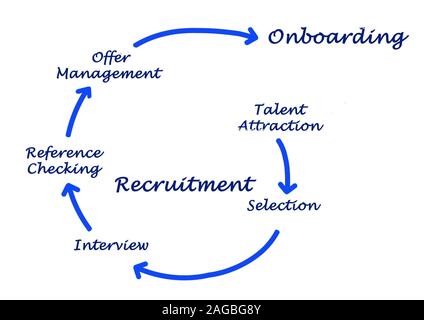 Diagramma del processo di recrutment Foto Stock