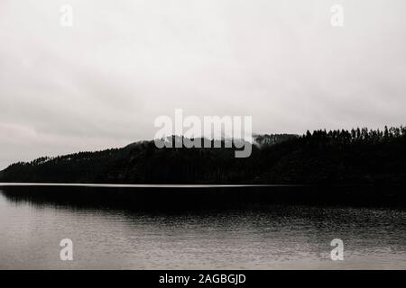 Immagine in scala di grigi di un paesaggio erboso che si riflette nell'acqua Foto Stock