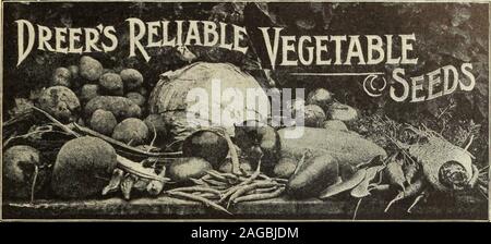 . Dreer's 1913 giardino prenota. Carciofo. Artischoke, Ger. Artichaut, Fr. Alcachofa, Sp. DREERS sementi sono state per settanta=cinque anni uno standard tra i migliori giardinieri di questo paese per gli indubbi purezza e eccellenza.Le direzioni culturale dato in questo libro per la coltivazione di ortaggi è stato completamente rivisto e portato a termine da thewell noto competente il sig. T. Greiner, e sono per la latitudine di Philadelphia. Le persone che vivono in una di più la latitudine sud shouldstart precedenti, mentre coloro che vivono più lontano nord dovrebbe iniziare a piantare più tardi. Sementi di asparagi. Spargel, Ger. Asperge, Fr. Esparrogo, Foto Stock