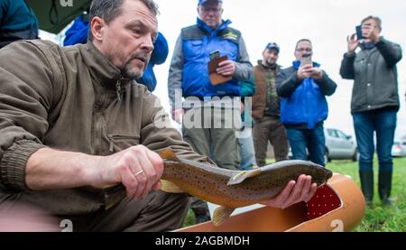 Nutha, Germania. Xviii Dicembre, 2019. Steffen Zahn, project manager di pesci migratori programma Sassonia-anhalt dell Istituto per la pesca nelle acque interne a Potsdam, detiene una trota di mare nelle sue mani al Nuthe che egli vuole misurare, pesare e inviare. I pesci erano stati catturati durante la pesca di prova sul Nuthe. In Nuthe un totale di 143500 giovani salmoni e 90300 trota di mare creature sono state rilasciate finora. Ora l'animale ha restituito alle acque vicino a Zerbst. Credito: Klaus-Dietmar Gabbert/dpa-Zentralbild/ZB/dpa/Alamy Live News Foto Stock